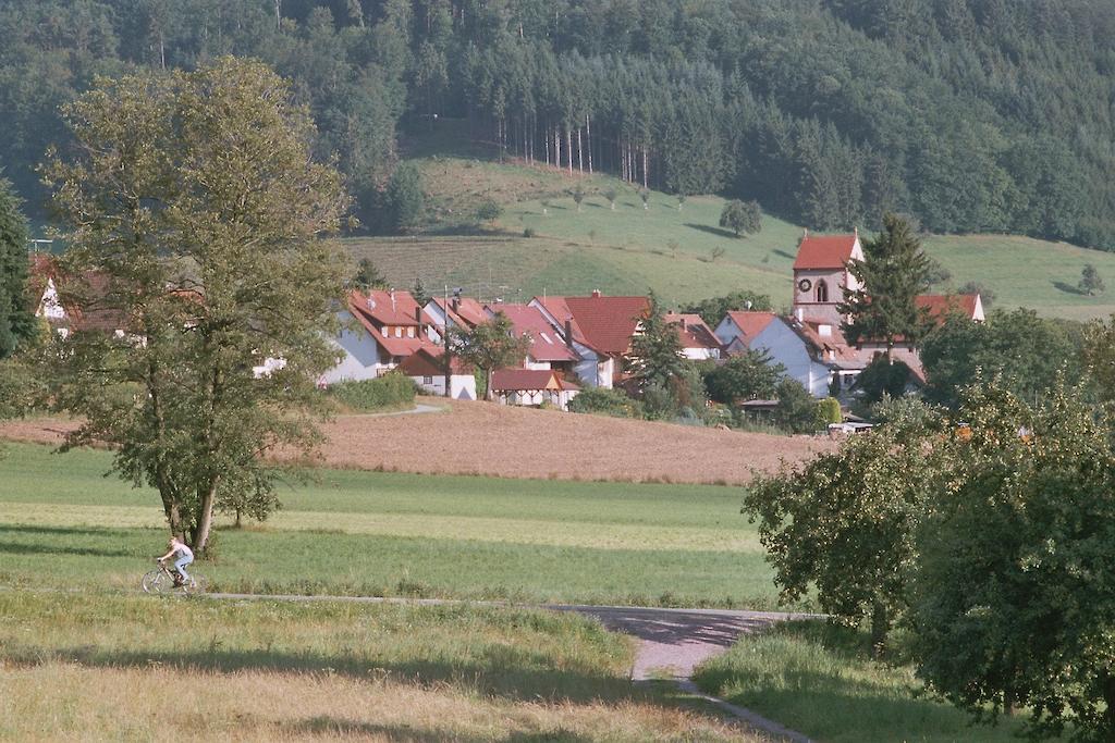 Landgasthof Ochsen Seelbach  Exteriör bild